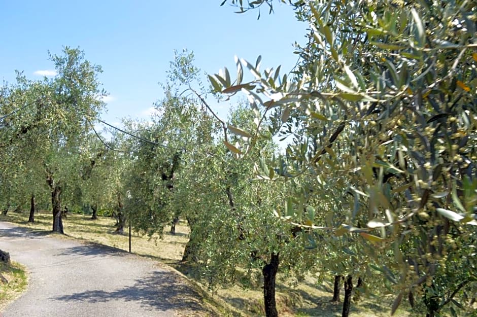 Il Podere di Tacito