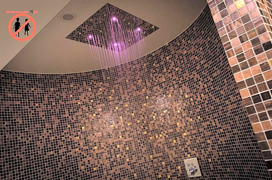 Europe Haguenau – Hotel & Spa