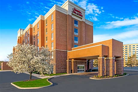 Hampton Inn By Hilton And Suites Detroit/Airport-Romulus