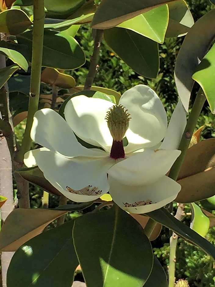 Casa Baliza, adults only