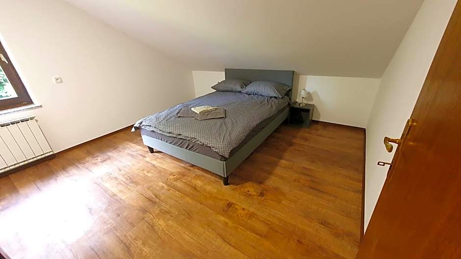 Rooms and apartments Biš