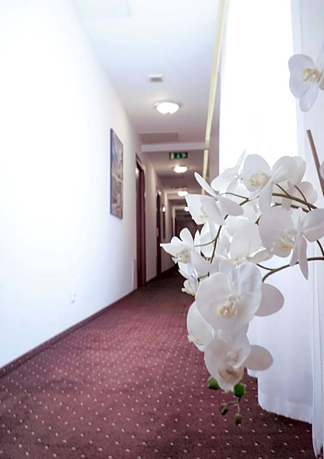 City Center Rooms Piotrkowska 91
