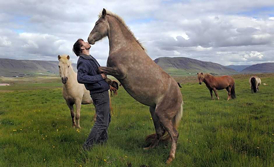 Wilderness Center / Óbyggðasetur Íslands