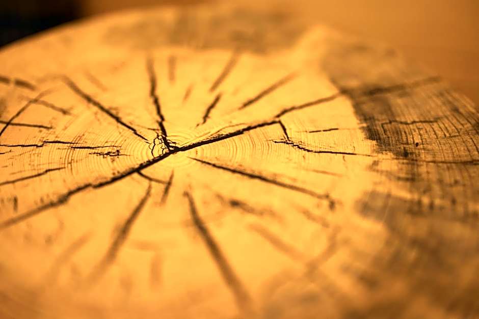 PRIVILLAGE Stare - B&B