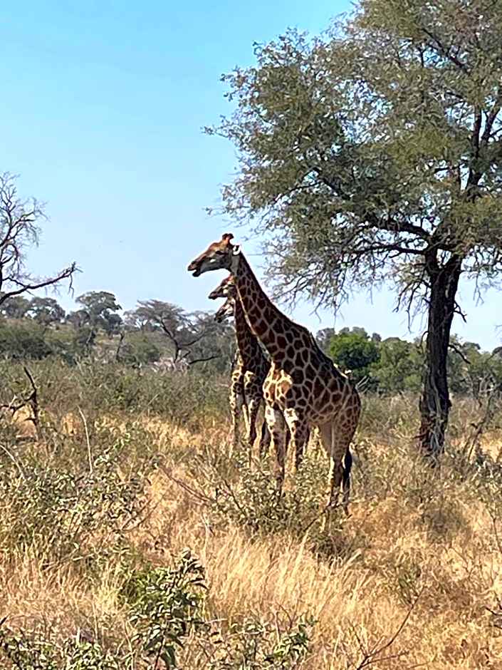 Khululeka Safaris Lodge