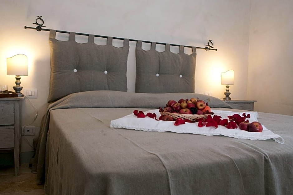 Rinidia Siena Celso Cittadini Grande