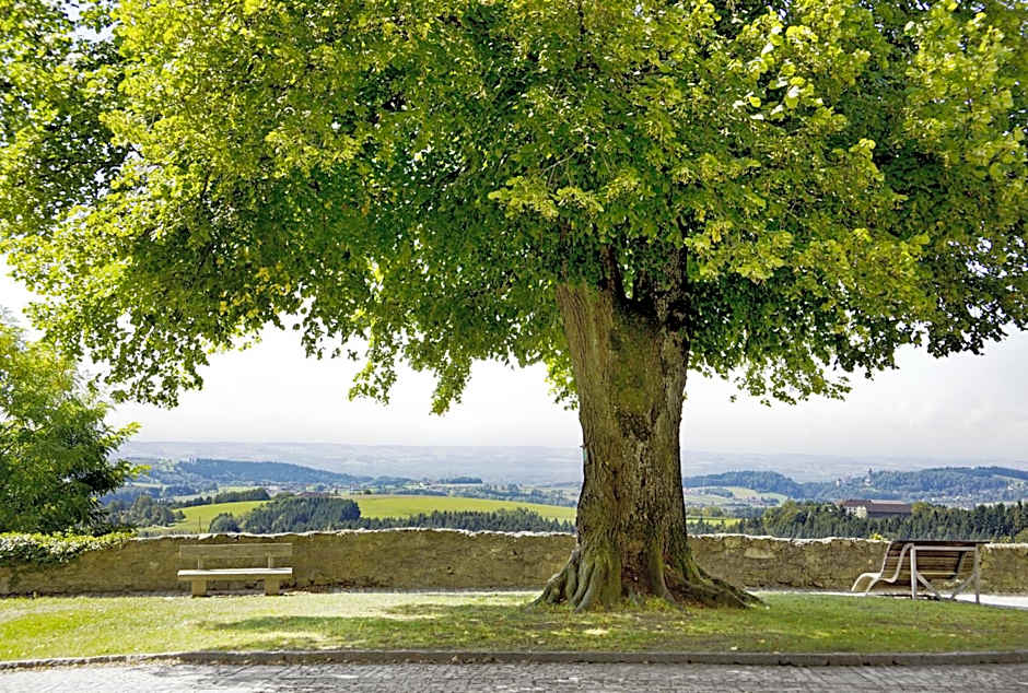 Schatz.Kammer Burg Kreuzen