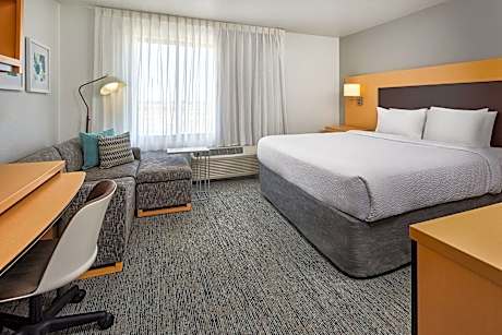 Studio, 1 King Bed with Sofa bed (1 King Bed and 1 Double Sofa Bed)