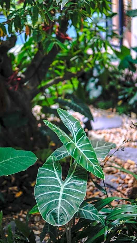 โรงแรม บอร์ดดิ้งเฮ้าส์