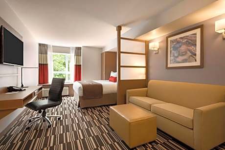 Business Queen Room with Rainforest View - Non-Smoking