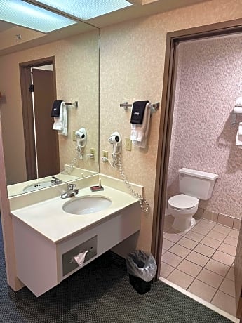 Accessible - 1 Queen Mobility Accessible Bathtub Microwave And Fridge Non-Smoking Full Breakfast
