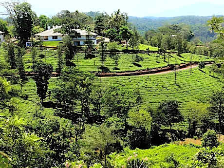 Parisons Plantation Experiences Bungalow