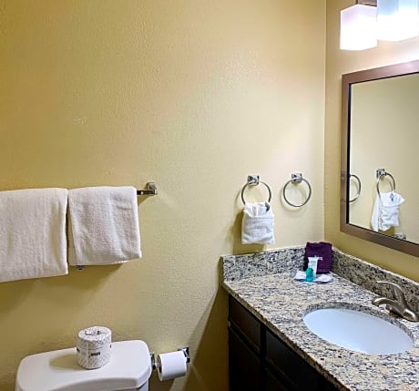 1 Queen Bed, Suite, Nonsmoking