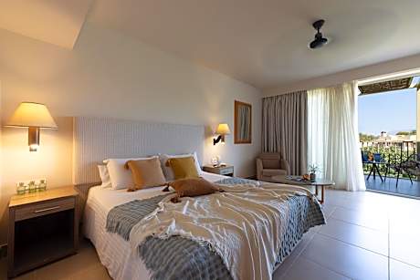 Superior Double Room with Pool View