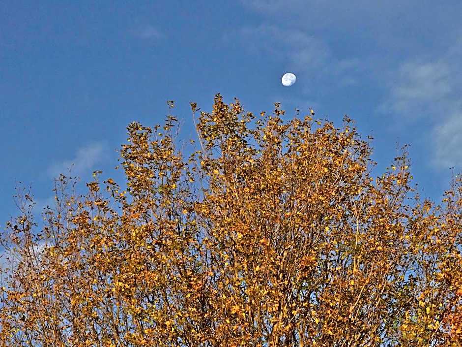 Gateside Chalets Modern Rustic 6-Bedroom with Hot Tub, Near the Village