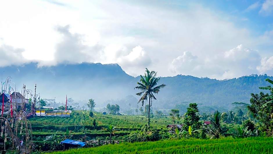 Ume Dukuh Home Sidemen