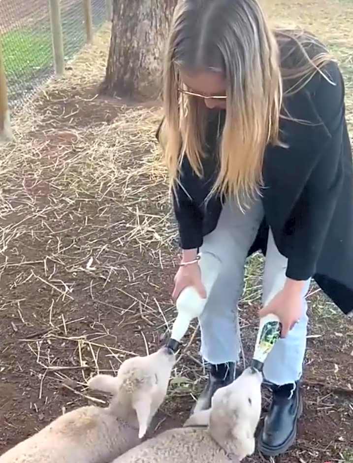 Sandalwood Downs Fabulous Farm Stay TOODYAY