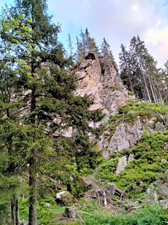 Hříběcí bouda