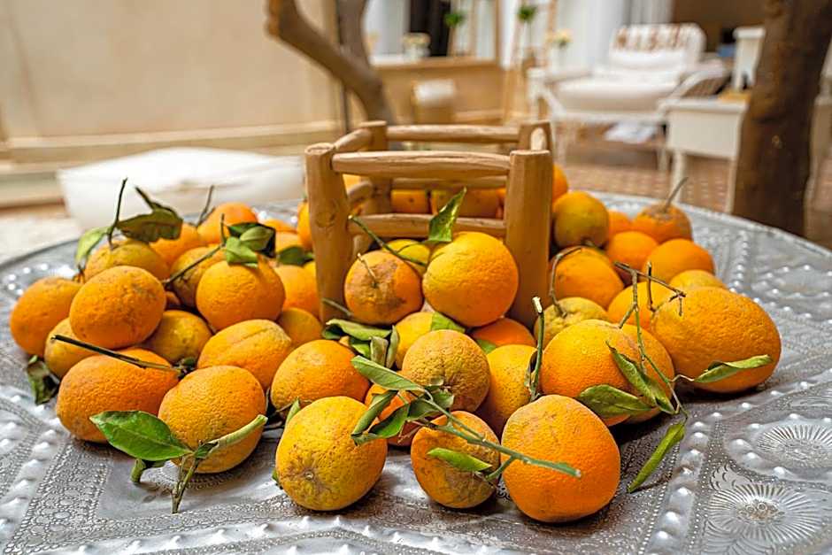 Riad Les Orangers D'alilia
