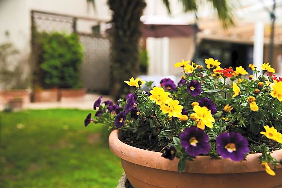 HOTEL VULCI