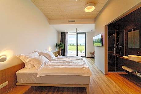 Double or Twin Room with Dancing Pole