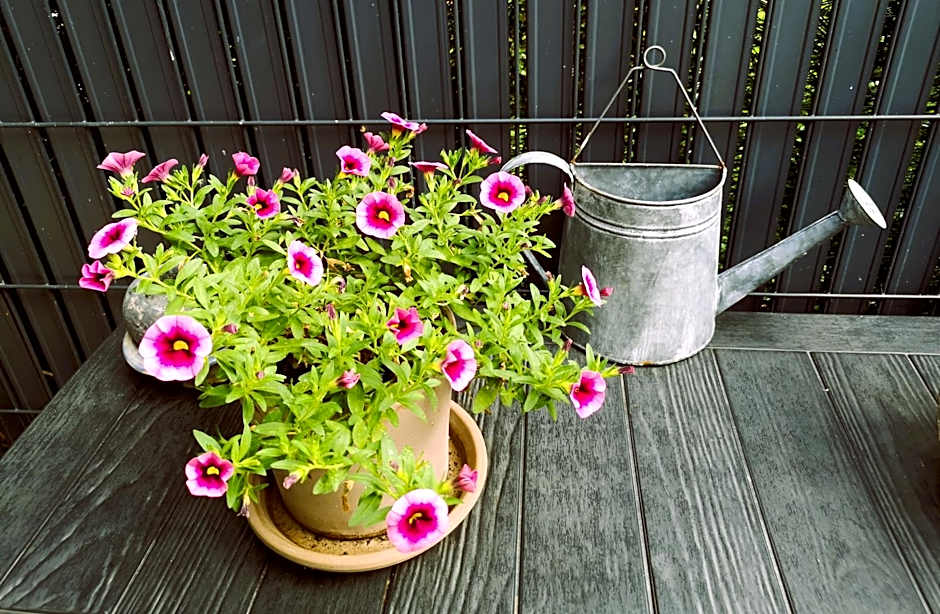 Les Eléphants bleus