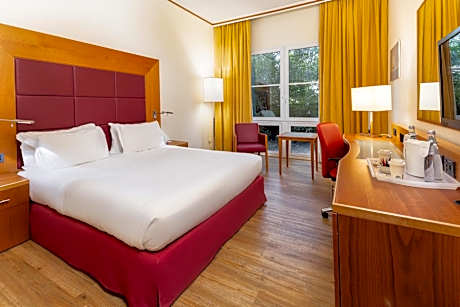 Standard Double Room - Disability Access