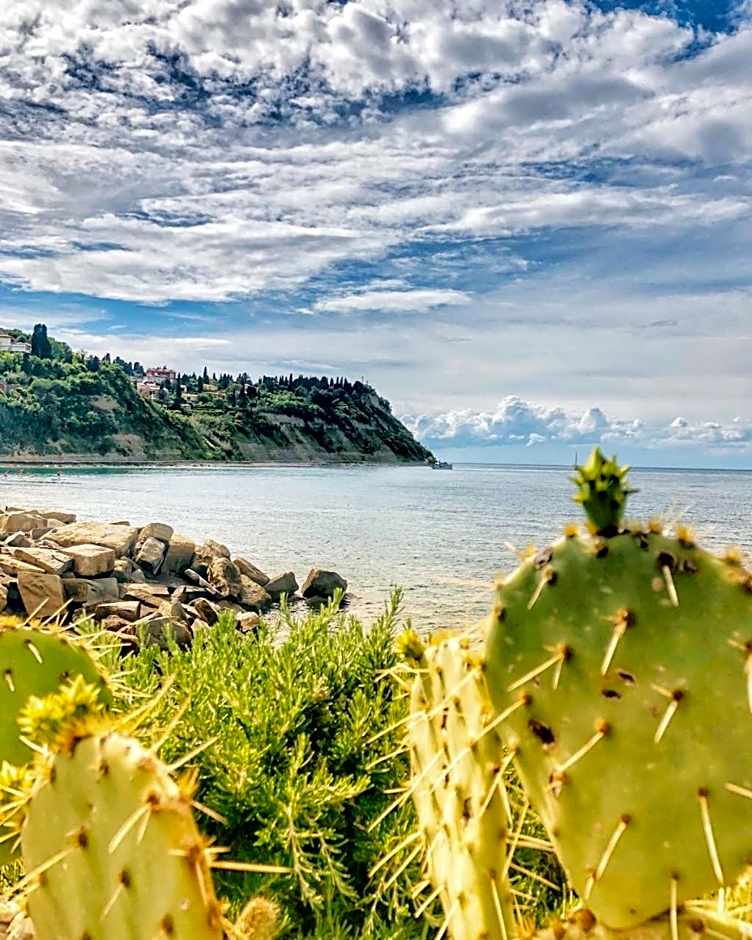 Barbara Piran Beach Hotel