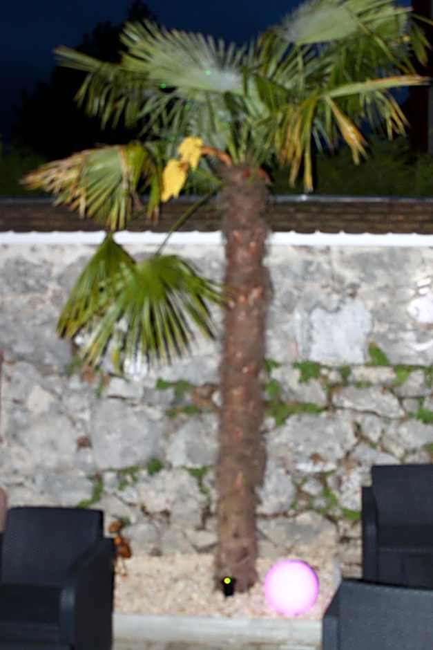 Hotel Hochdorfer Hirschen