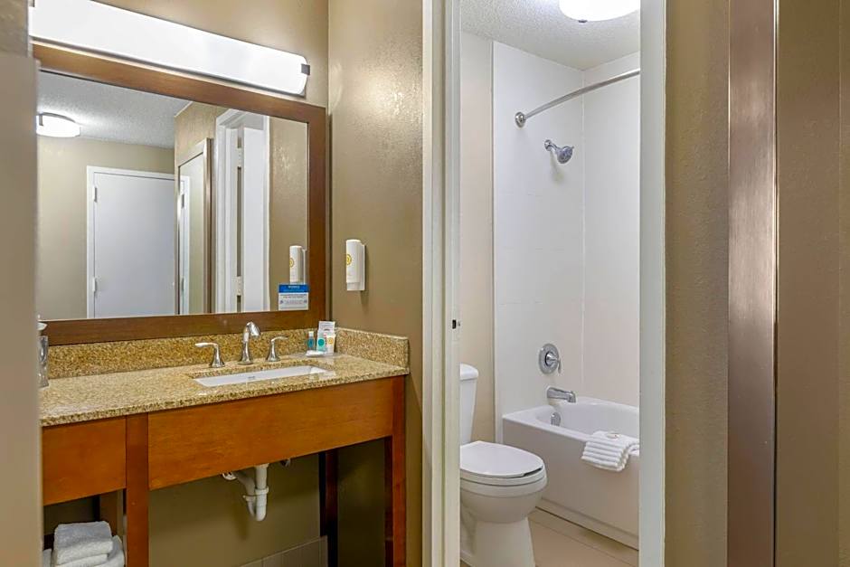 Comfort Inn Memphis Downtown