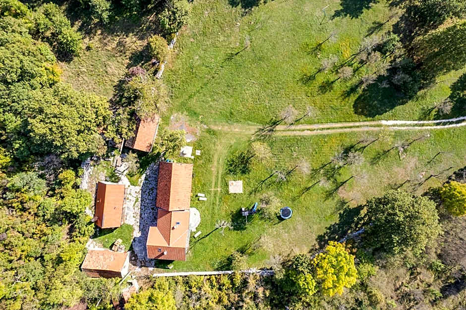 SOKOL - Secret forest house