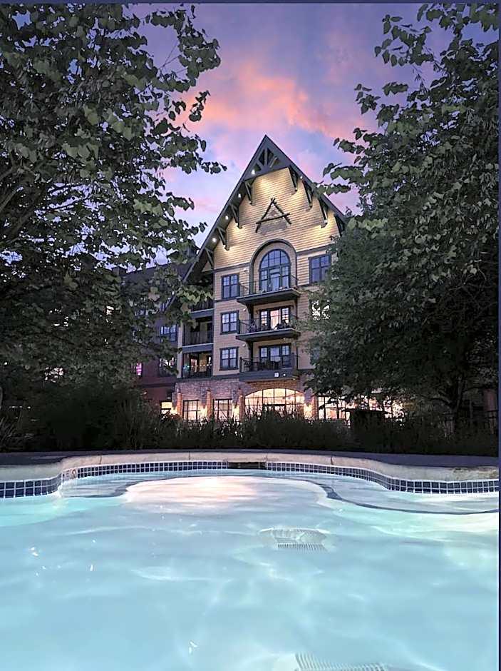 Cozy Mountain View Condo