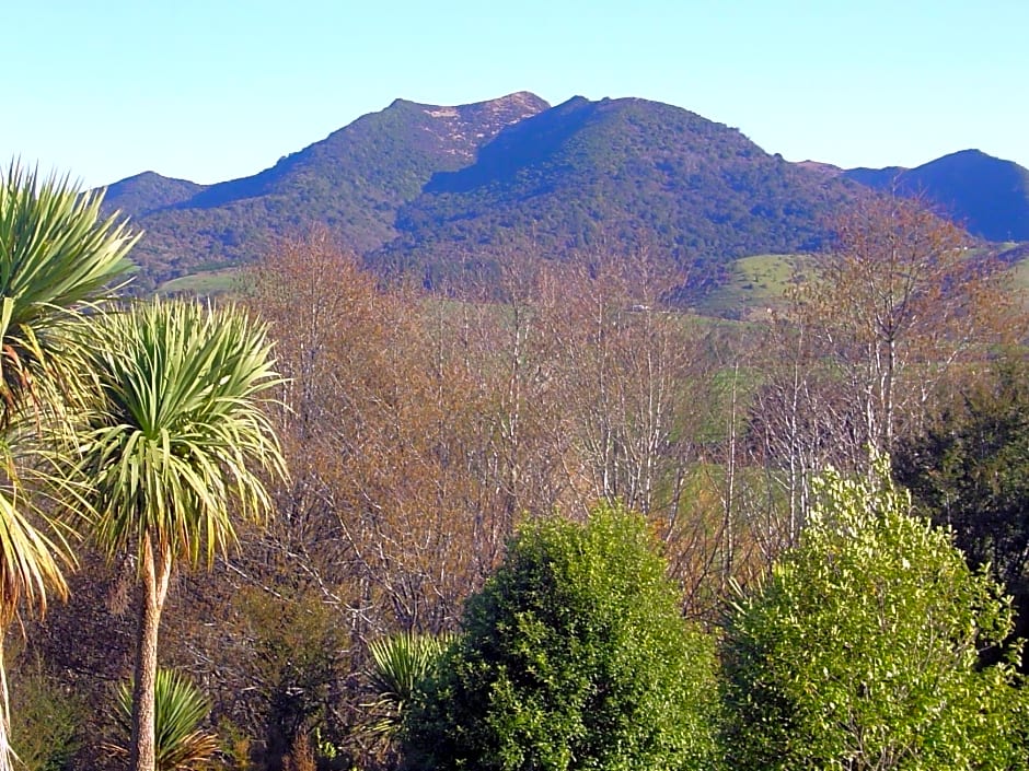 Hokonui Bed and Breakfast