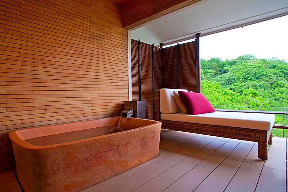 Hanashinsui