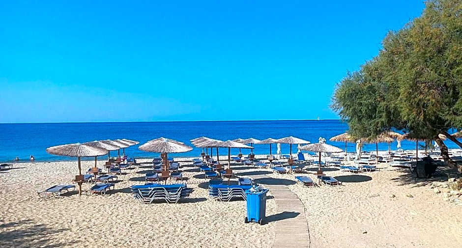 Apollon (ex. Albatros)