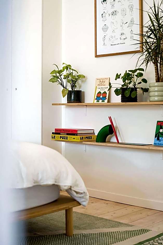 A Designer Terrace House by Edinburgh Gardens