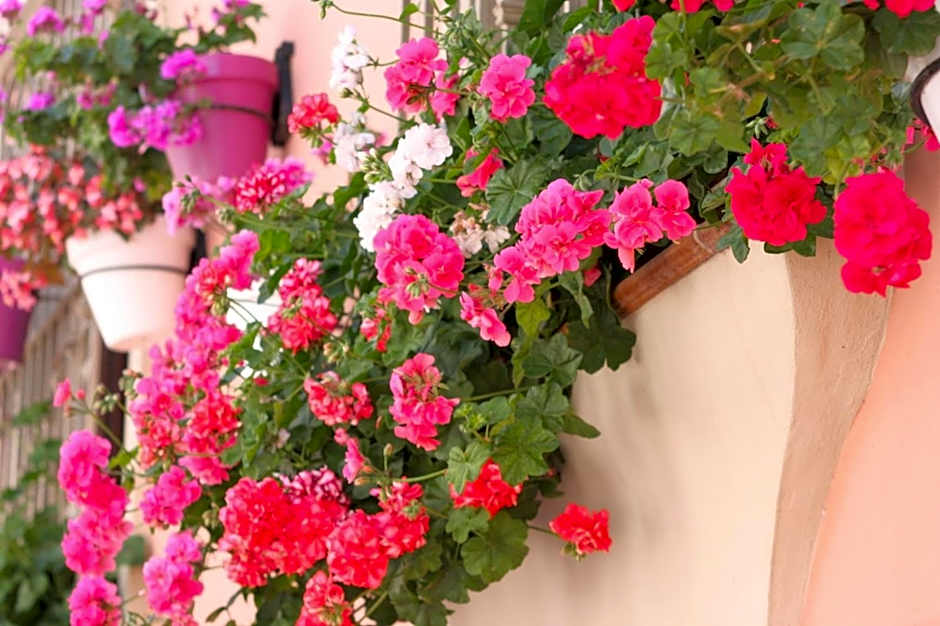 Hotel Silken El Pilar Andalucia