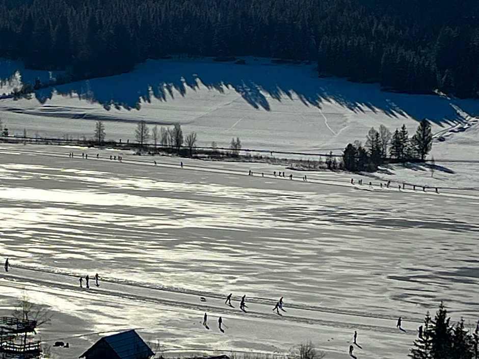 Apartments Kolbitsch mit Seeblick