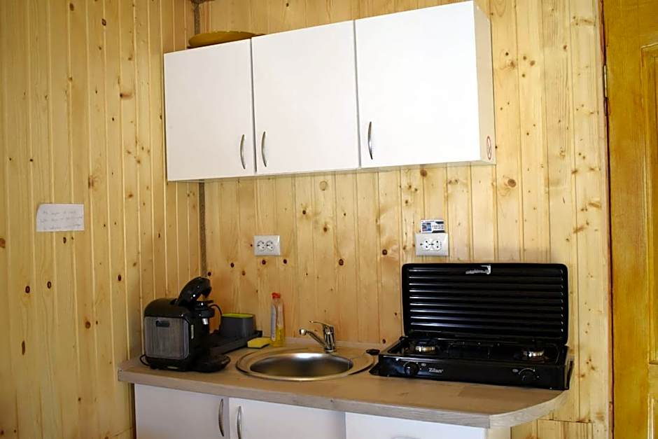 Cabana doi mesteceni