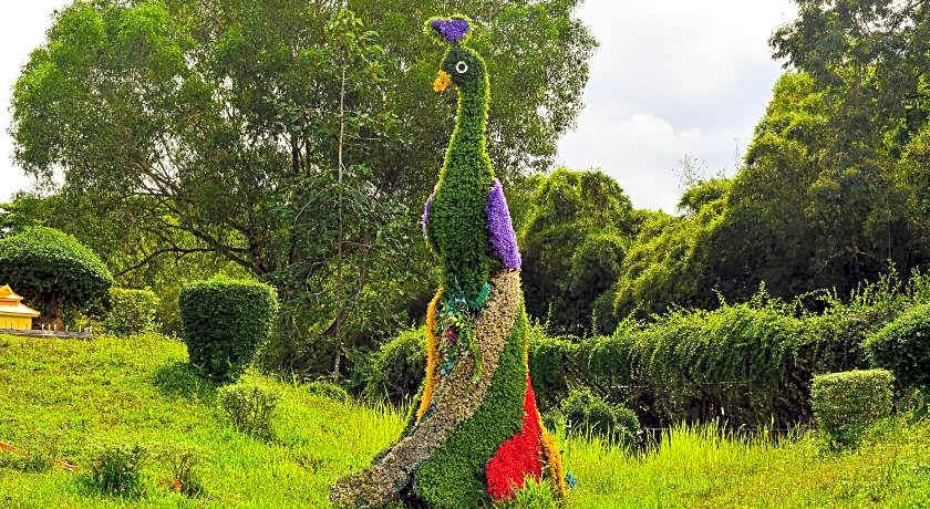 Dara Express by Angkor Green Gardens