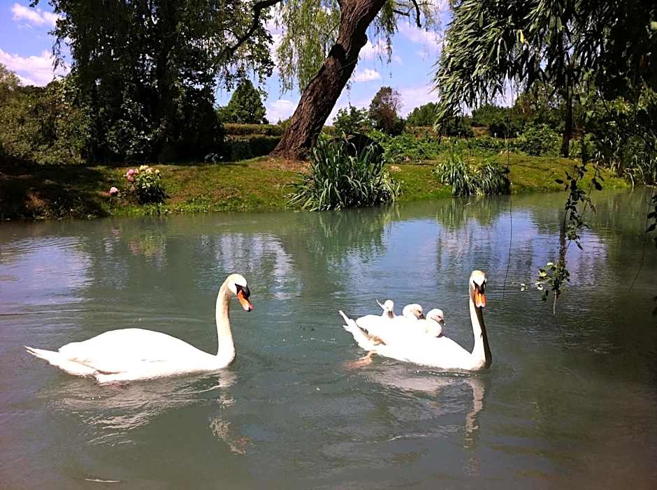 La Finestra sul Fiume