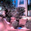 Les Jardins Du Marais
