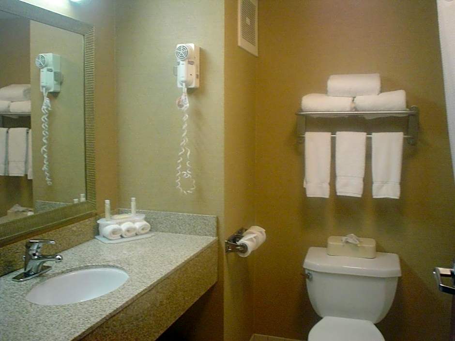 Holiday Inn Express Hotel & Suites Sunbury-Columbus Area By IHG
