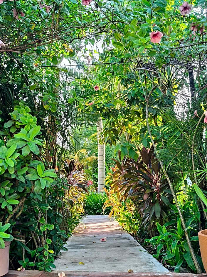 Casa Xu´unan