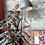 City Solei Boutique Hotel