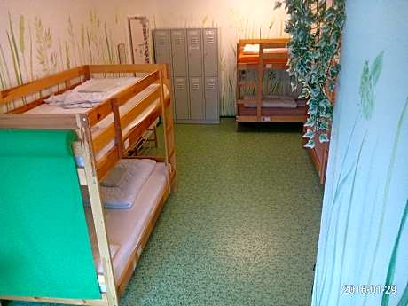 Bed in 8-Bed Mixed Dormitory Room