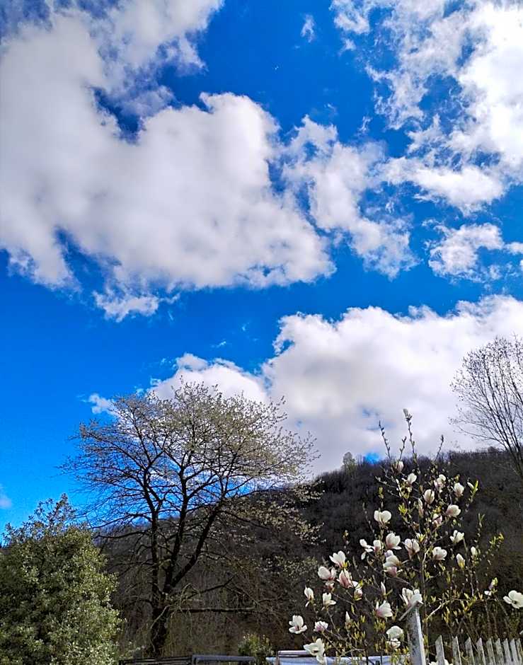 Il Ciliegio di Lurisia