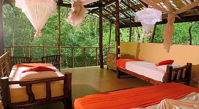 Back of Beyond Pidurangala