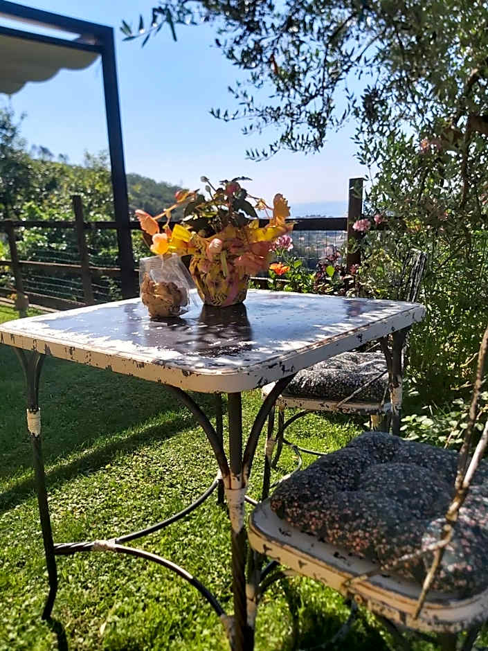 Il RosAle a Celle Ligure