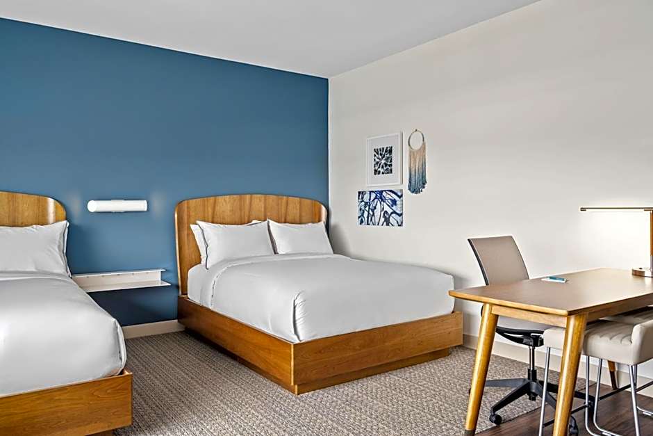 Studio 2 Queen Beds with Sofabed, Courtyard View — 5 fotoğraftan 1. fotoğraf